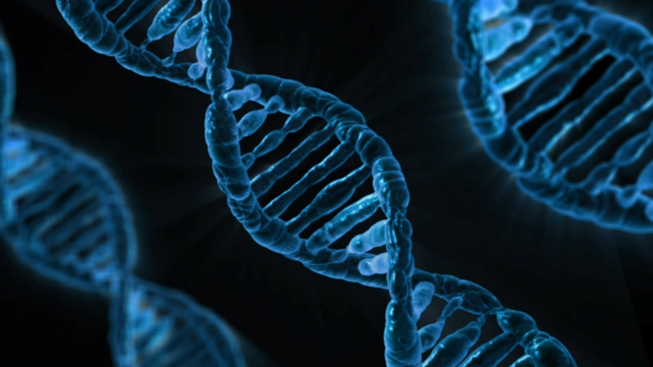 La ribosa forma parte del material genético. Imagen: PublicDomainPictures. Fuente: Pixabay.