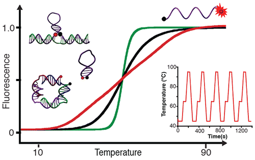 Comportamiento del ADN según la temperatura. Fuente: Nano Letters.