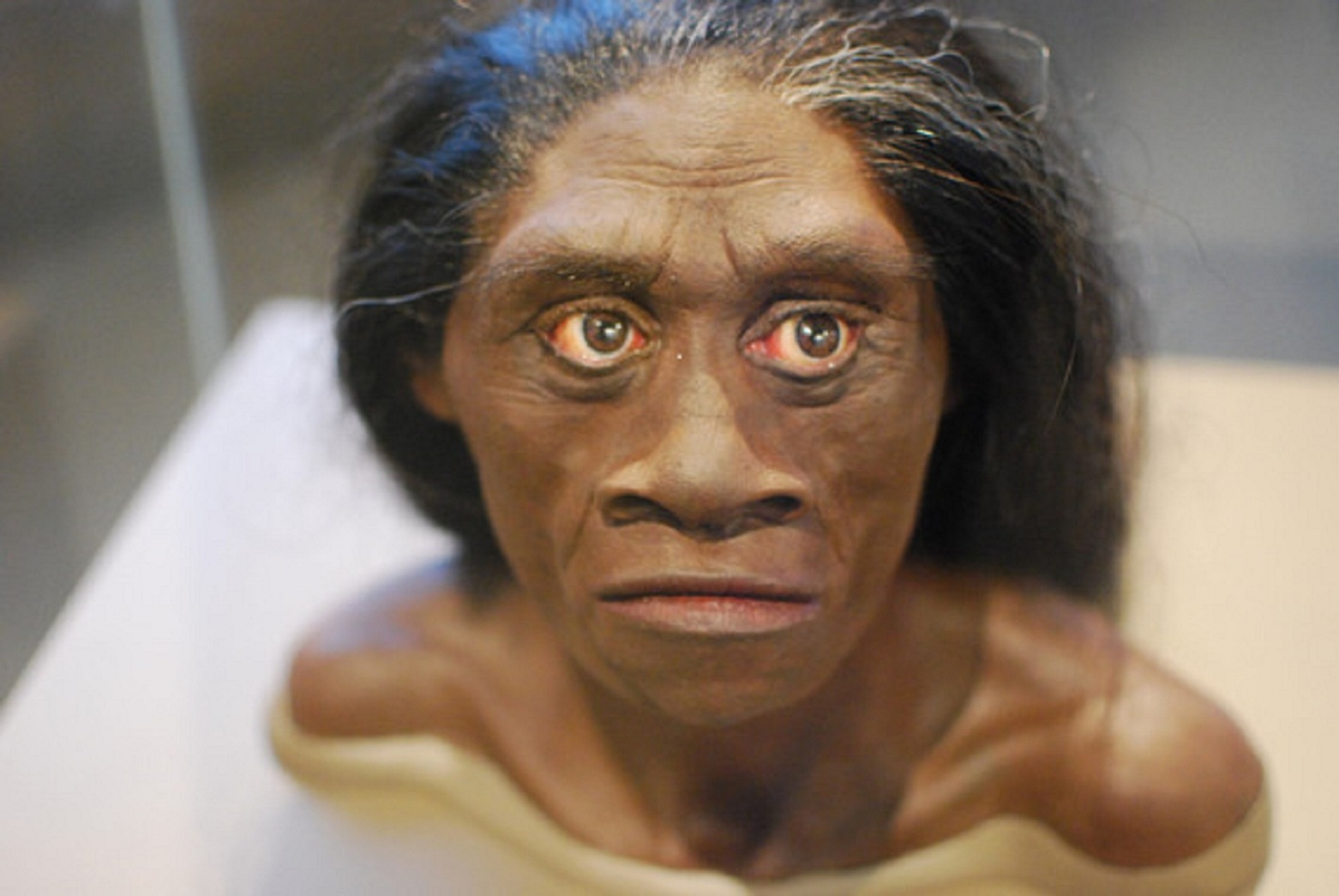 Reconstrucción de una mujer Homo floresiensis. Imagen: Karen Neoh. Fuente: Sinc.
