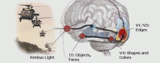 Electrodos de encefalograma y binoculares, nueva apuesta de la DARPA.