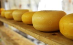 Inteligencia artificial para catar quesos