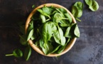 Las verduras de hoja verde pueden mejorar nuestra función cognitiva 
