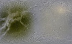 Así es Dione, luna helada de Saturno