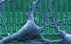 Un proyecto del MIT une nuestra potencia cerebral  colectiva con la de los ordenadores