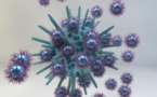 Crean el primer antivirus de amplio espectro no tóxico