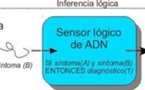 Un nuevo sensor biológico detecta y analiza secuencias de ADN