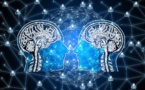 Consiguen conectar 3 cerebros y que compartan sus pensamientos