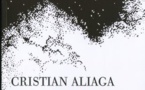 Un lenguaje que no se habla: "La caída hacia arriba", de Cristian Aliaga