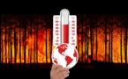 El cambio climático supera los estándares de la historia terrestre