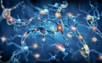 Reprograman células para cambiar patrones neuronales