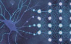 Neuronas humanas permitirán pensar a la Inteligencia Artificial