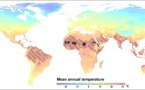 Temperaturas saharianas asolarán al planeta en 2050