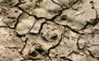 Norteamérica se enfrenta a la sequía más grave de su historia