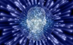 Identificada la zona del cerebro donde reside la inteligencia ejecutiva