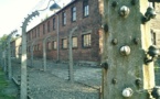 Casi un millón y medio de personas visitan Auschwitz cada año