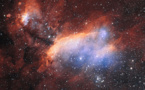 ESO fotografía la Nebulosa de la Gamba, donde están naciendo estrellas