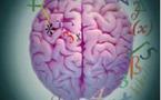 La inteligencia puede aumentarse mediante estimulación cerebral
