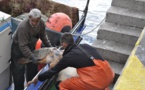 El programa 'Tortuga a bordo' ayudará a salvar tortugas en Murcia y Andalucía