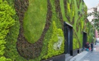 Las paredes vegetales aíslan a los edificios del ruido de las ciudades