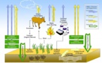 La agricultura ecológica convierte los cultivos en auténticos sumideros de CO2