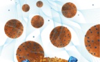 Un hidrogel lleno de nanoesponjas acaba con bacterias resistentes a los antibióticos