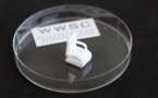Primeros objetos impresos en 3D con celulosa