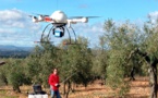 Científicos del CSIC usan drones para cartografiar árboles en 3D