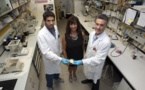 La Universidad de La Rioja pide la patente de unos compuestos fotoprotectores