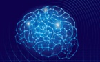 Un algoritmo diseña redes informáticas siguiendo el sistema de poda del cerebro