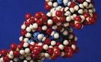 Un juego de ordenador ayuda a crear nuevas proteínas