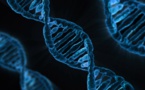 El CNB crea un software para edición génica con el sistema Crispr