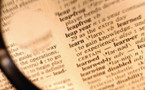 Los diccionarios reflejan la gestión cerebral del léxico