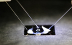 Un chip eléctrico de grafeno detecta mutaciones en el ADN