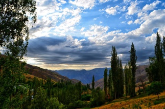 pixabay.com pixabay.com