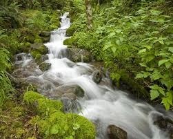 Nos incorporamos a la corriente de la vida. Fuente: v3wall.com