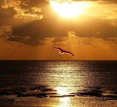 El vuelo de la vida es a la eternidad Fuente: lasrunasantiguas.blogspot.com