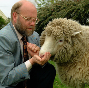 La famosa oveja Dolly