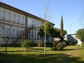 Fundación Nido Fundación Nido