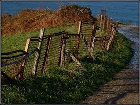 La tecnología transforma el paisaje La tecnología transforma el paisaje