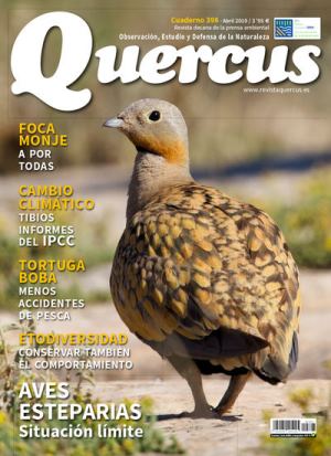 El concepto de etodiversidad y su potencial interés sociológico El concepto de etodiversidad y su potencial interés sociológico