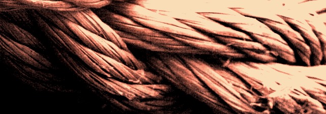 El nudo gordiano El nudo gordiano