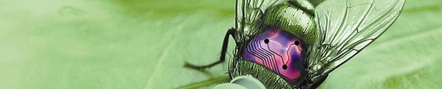 Cyborgs, humanidad y sociedad Cyborgs, humanidad y sociedad