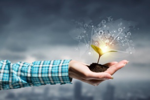 Telefónica lidera el ranking de EcoAct por sus avances frente al cambio climático Telefónica lidera el ranking de EcoAct por sus avances frente al cambio climático