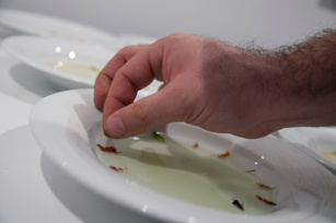 Ferrán Adrià vuelve a los "fogones" con una comida conceptual única Ferrán Adrià vuelve a los "fogones" con una comida conceptual única