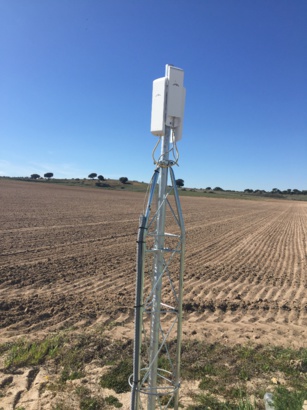 El 57% de empresas de agricultura invertirá a medio plazo en este tipo de tecnologías basadas en Internet de las Cosas (IoT) El 57% de empresas de agricultura invertirá a medio plazo en este tipo de tecnologías basadas en Internet de las Cosas (IoT)