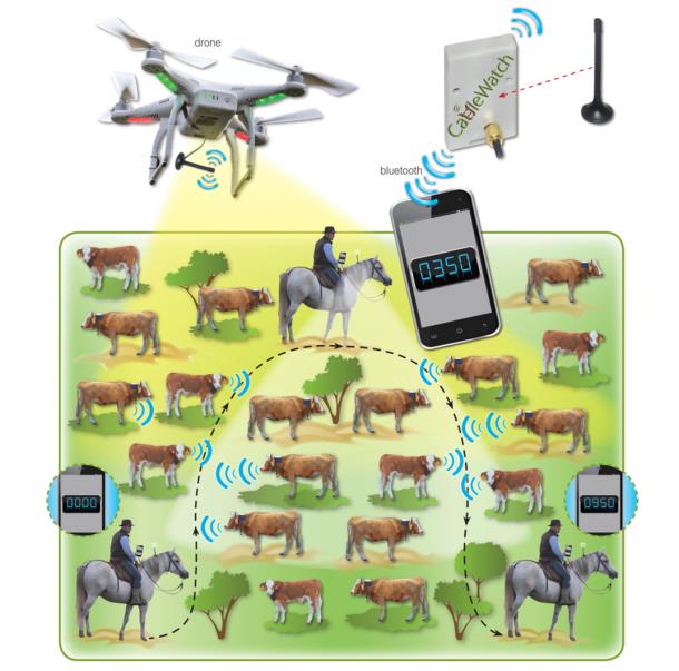 La tecnología IoT irrumpe con fuerza en la agricultura y ganadería