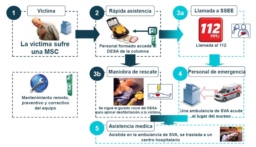Día Mundial del Corazón: las enfermedades de índole coronaria son la principal causa de muerte en los países desarrollados Día Mundial del Corazón: las enfermedades de índole coronaria son la principal causa de muerte en los países desarrollados
