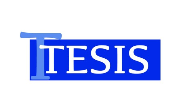 Más de 30 años asesorando